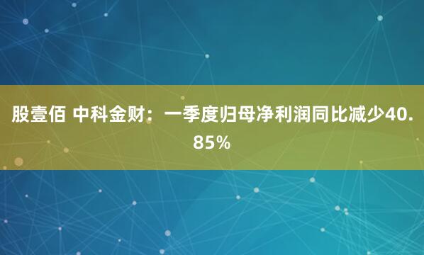 股壹佰 中科金财：一季度归母净利润同比减少40.85%