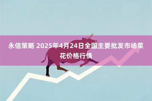 永信策略 2025年4月24日全国主要批发市场菜花价格行情