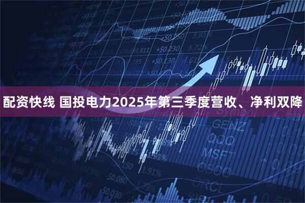 配资快线 国投电力2025年第三季度营收、净利双降
