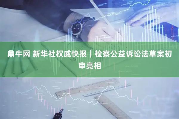 鼎牛网 新华社权威快报｜检察公益诉讼法草案初审亮相